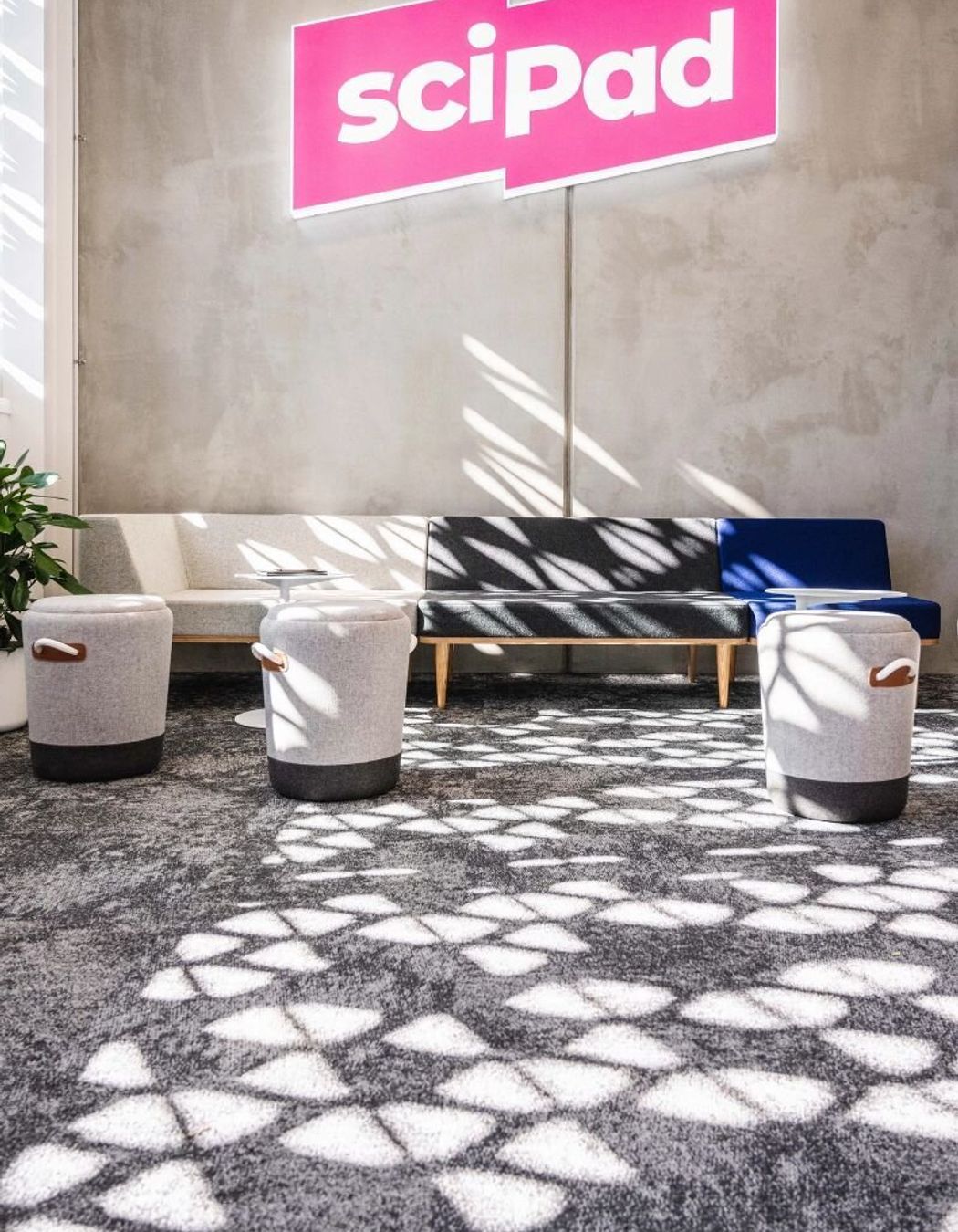 Scipad Tauranga Office Fitout