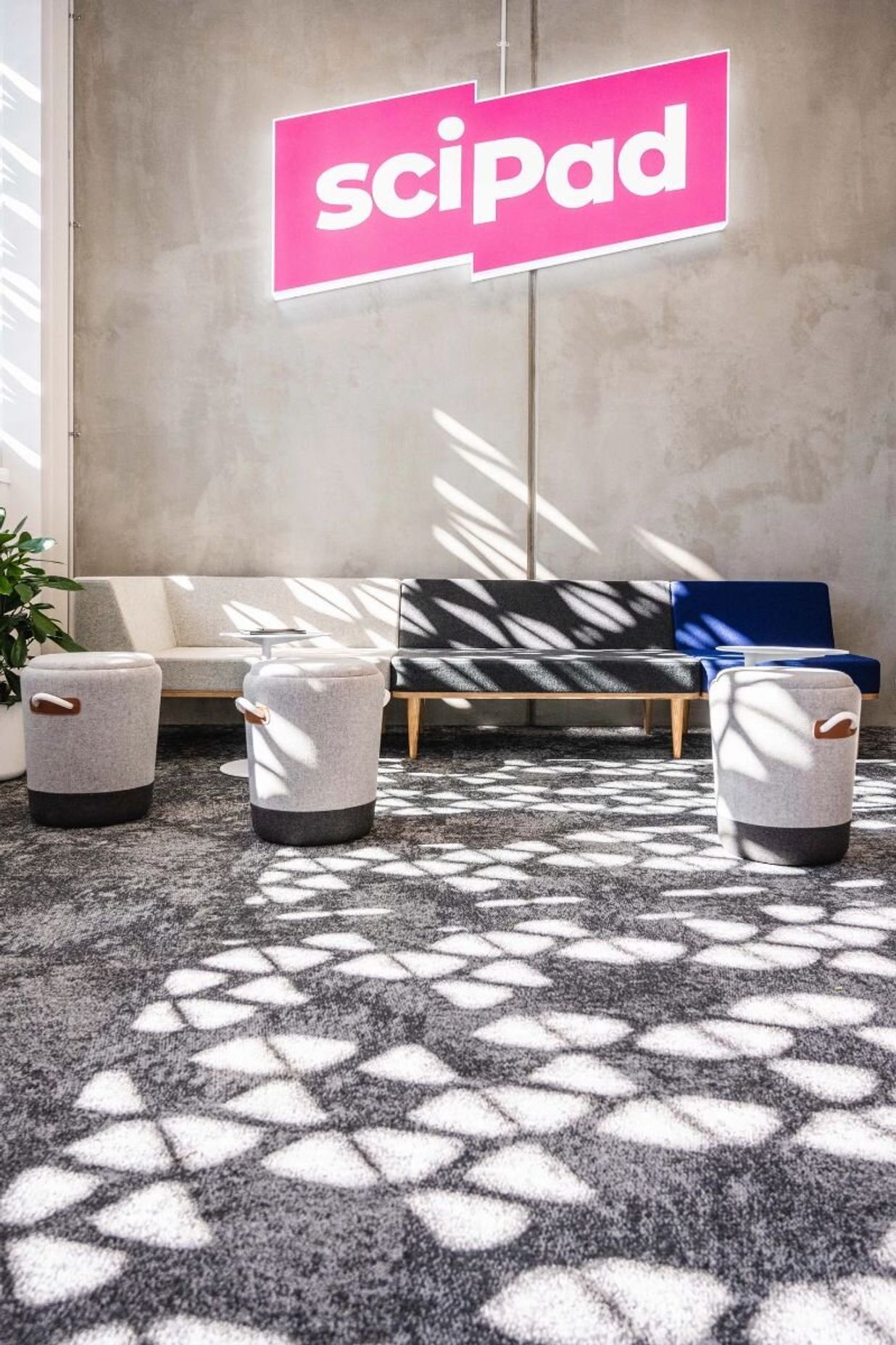Scipad Tauranga Office Fitout