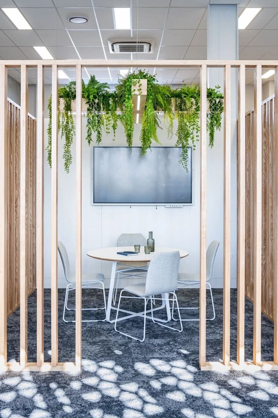 Scipad Tauranga Office Fitout
