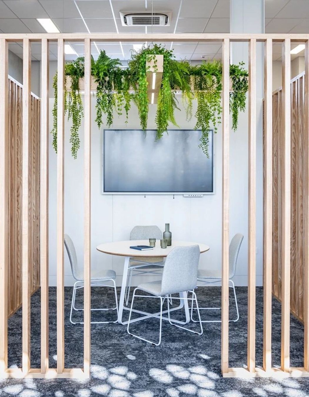 Scipad Tauranga Office Fitout