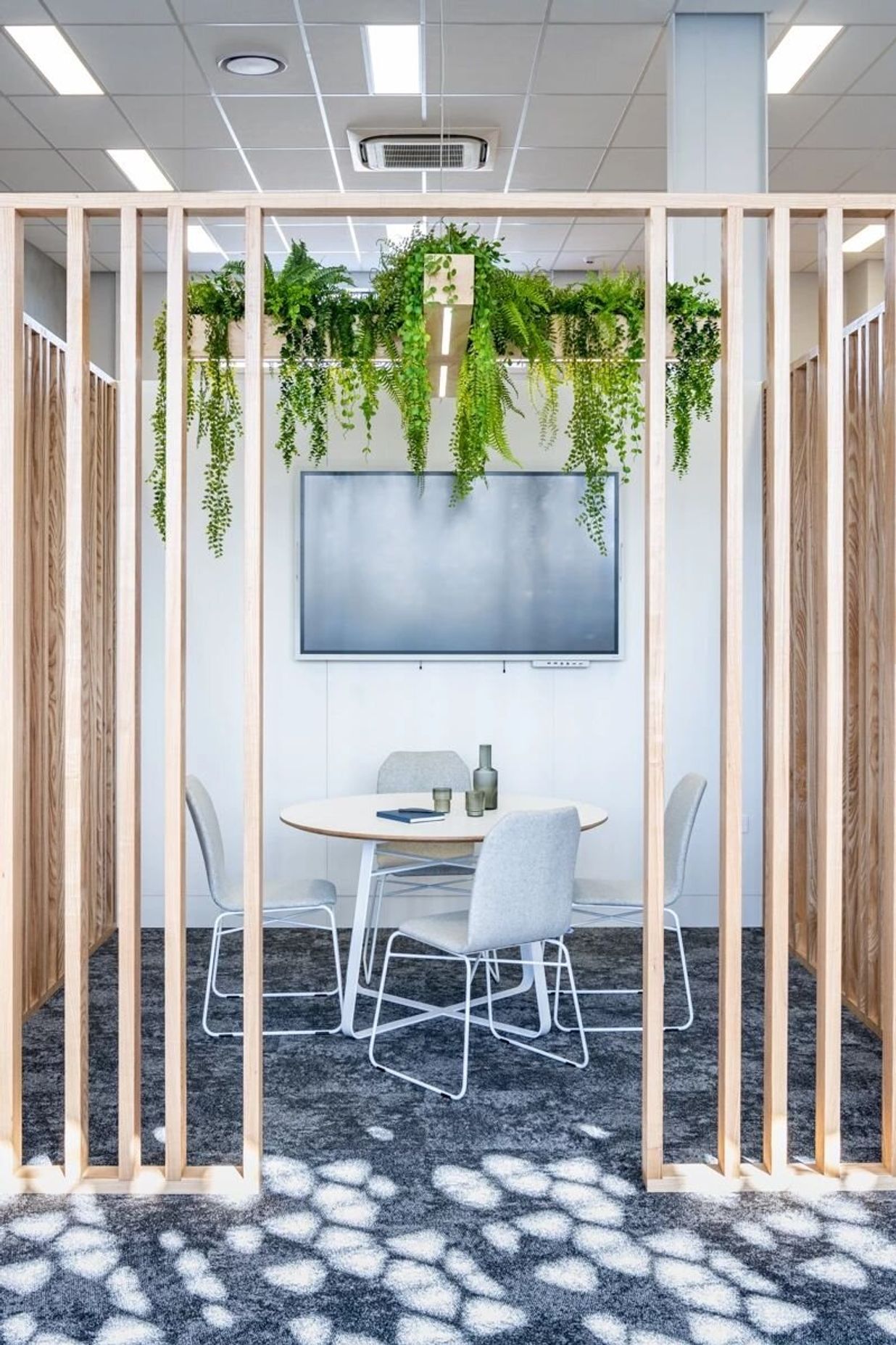 Scipad Tauranga Office Fitout