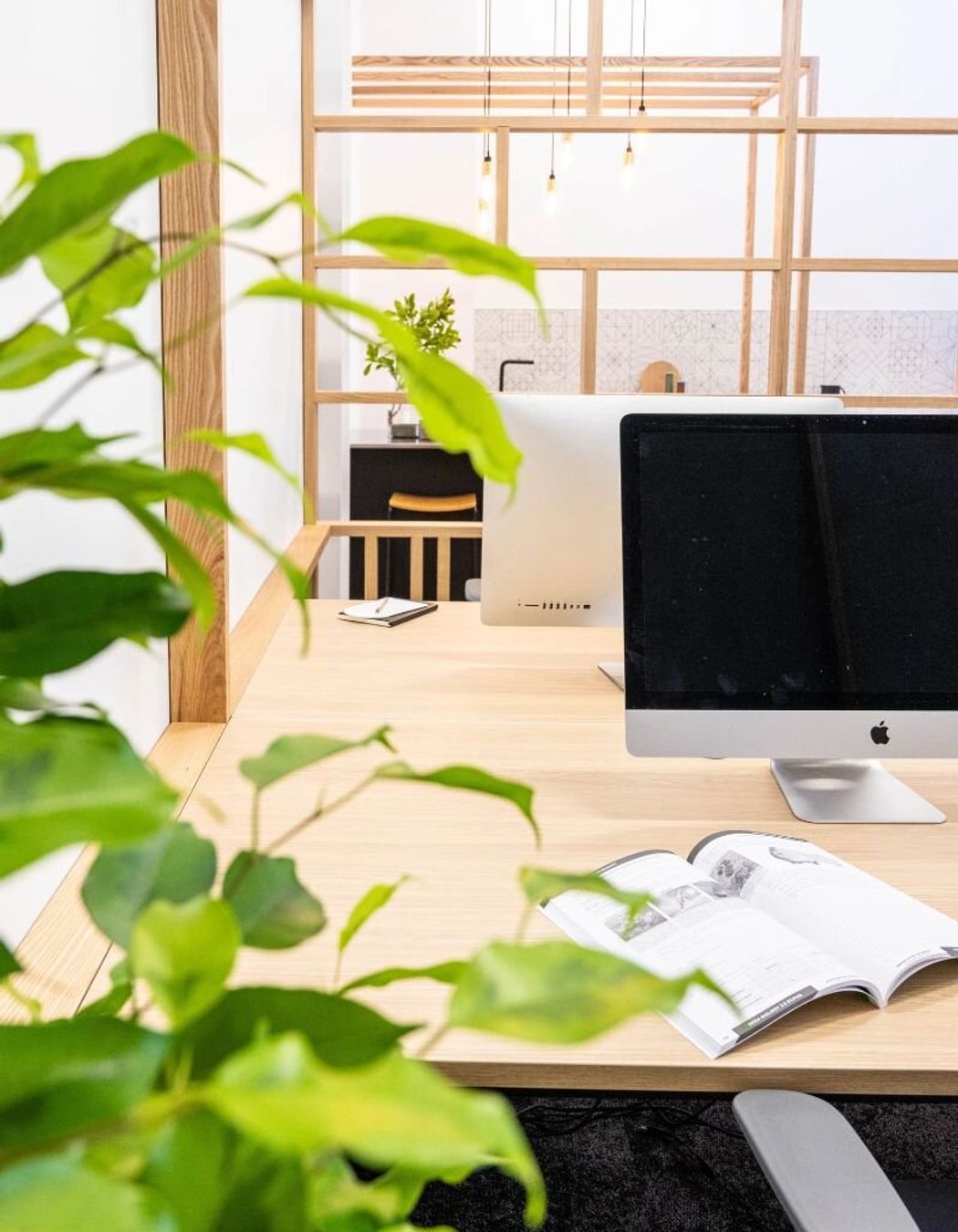 Scipad Tauranga Office Fitout