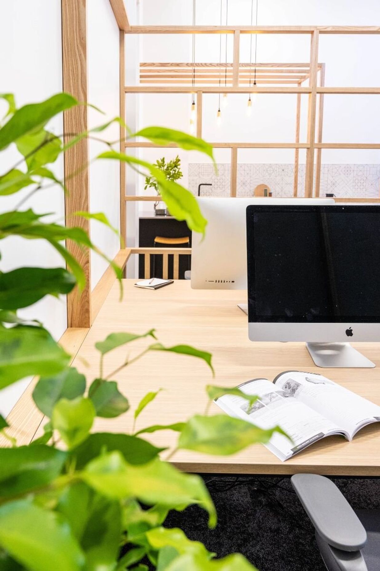 Scipad Tauranga Office Fitout