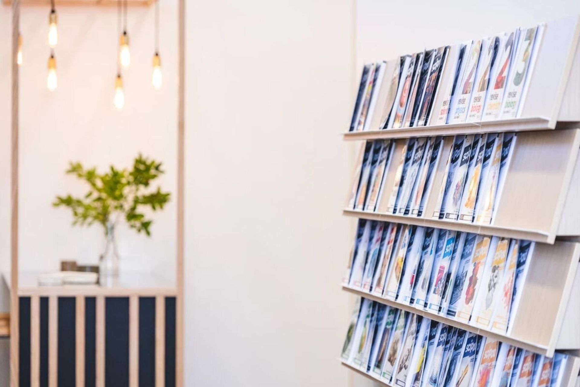 Scipad Tauranga Office Fitout