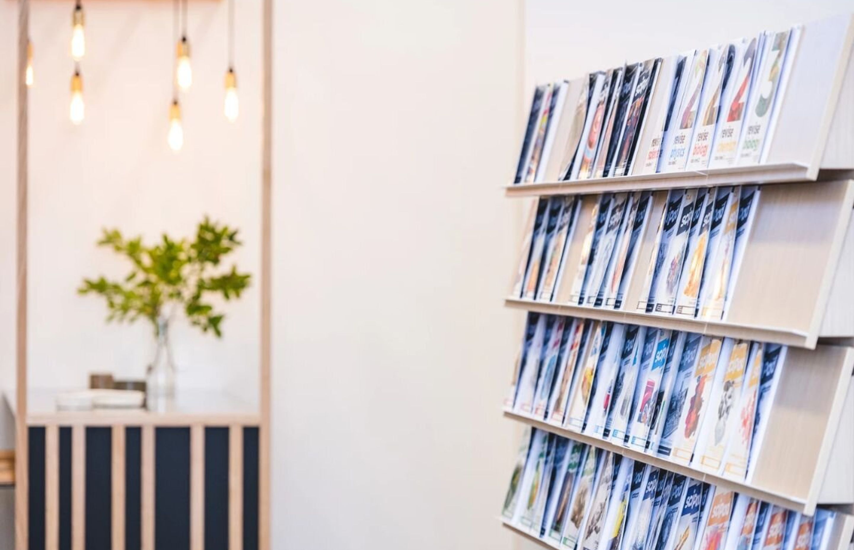 Scipad Tauranga Office Fitout