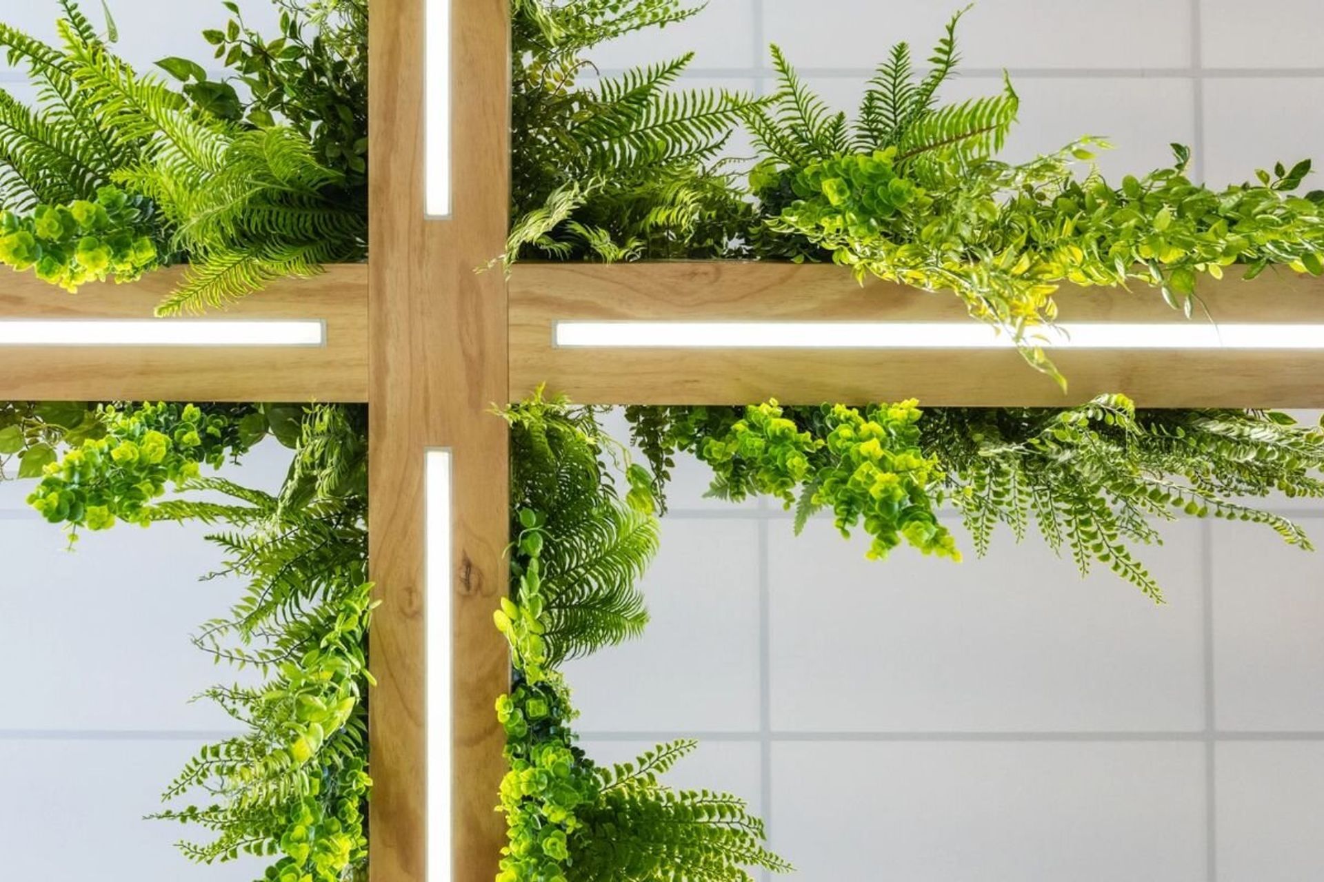 Scipad Tauranga Office Fitout