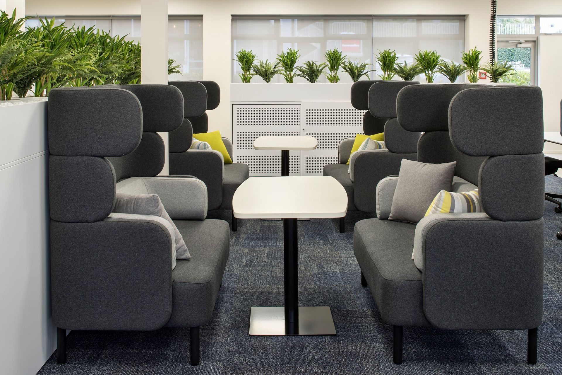 Barfoot &amp; Thompson (Glen Innes)