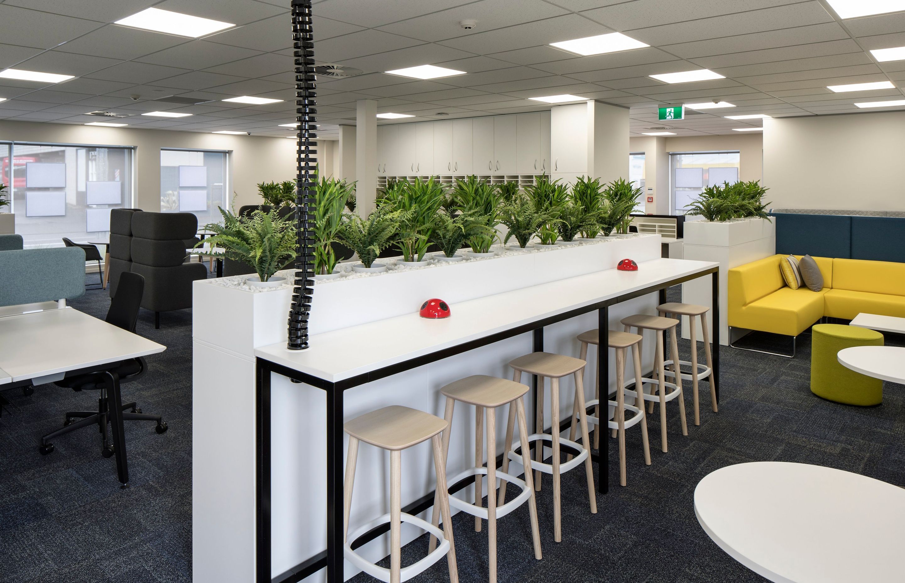 Barfoot & Thompson (Glen Innes)