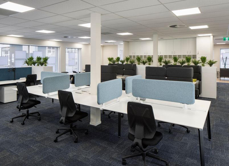 Barfoot & Thompson | Glen Innes | Office Fit-out