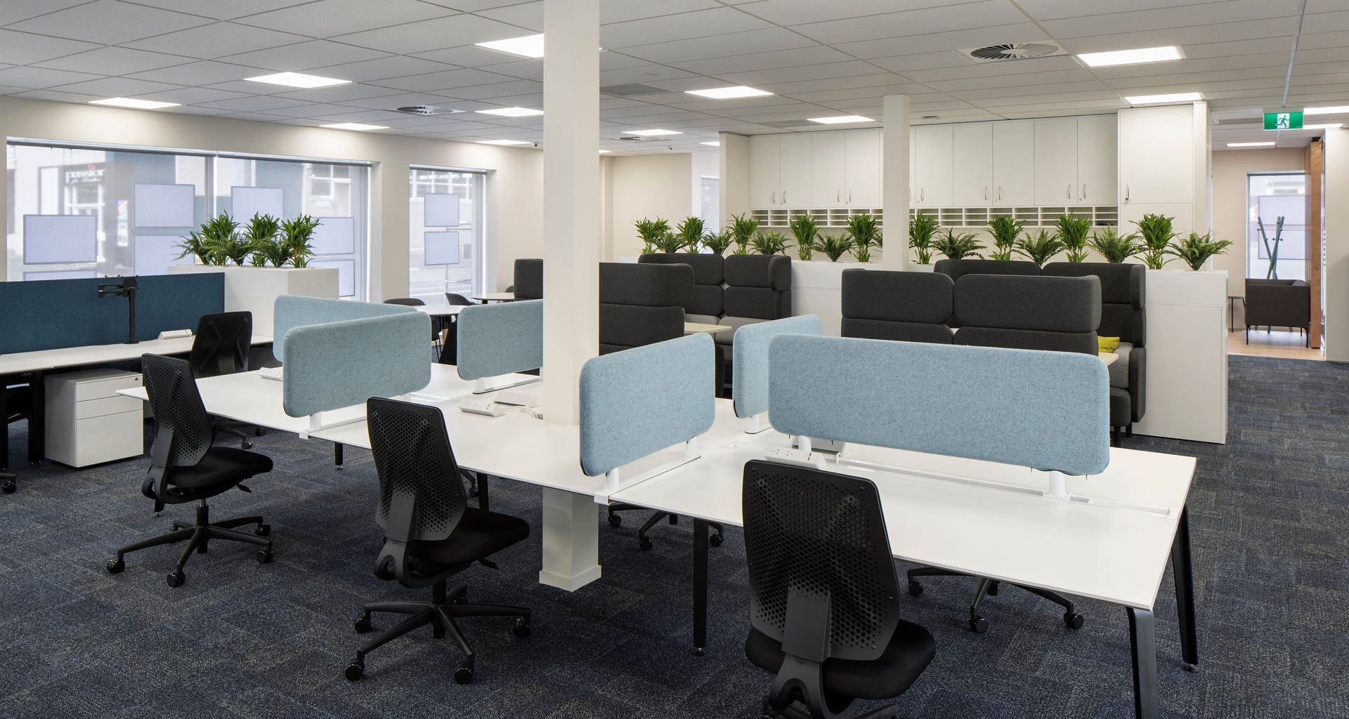Barfoot & Thompson | Glen Innes | Office Fit-out banner