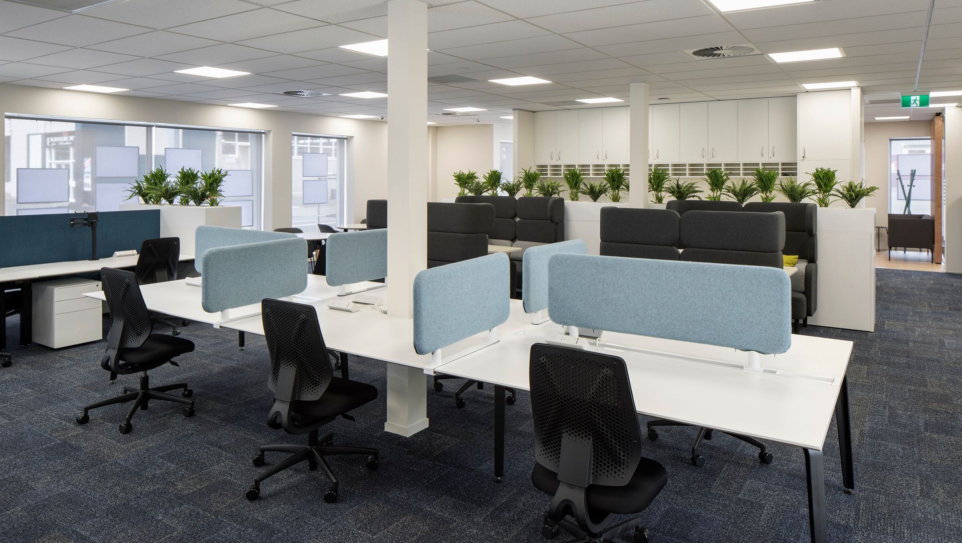 Barfoot & Thompson | Glen Innes | Office Fit-out banner