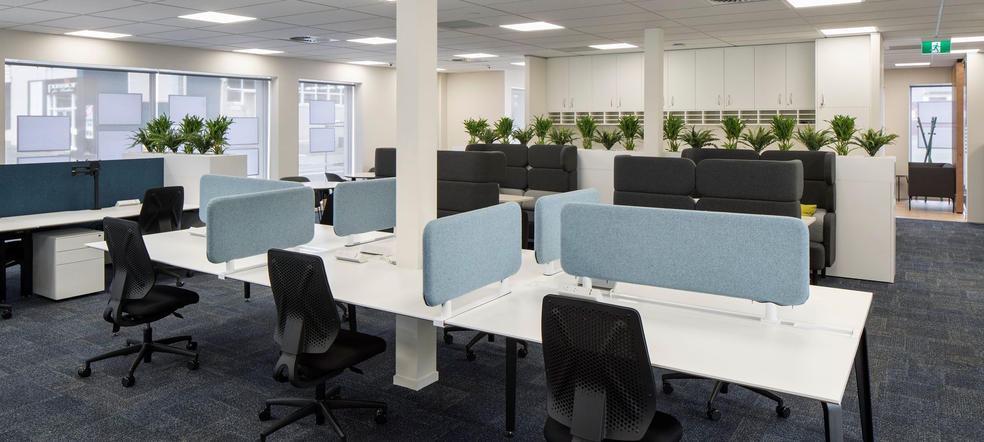 Barfoot & Thompson | Glen Innes | Office Fit-out banner