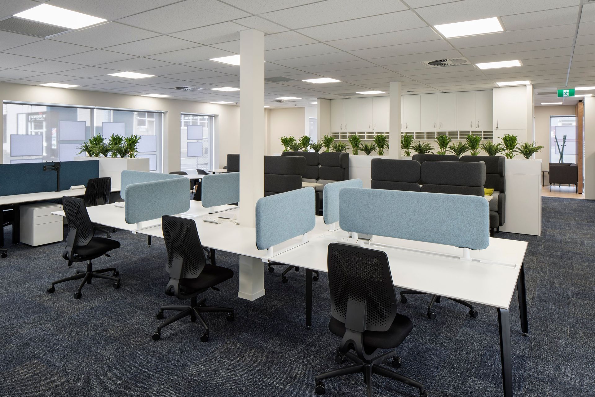 Barfoot &amp; Thompson (Glen Innes)