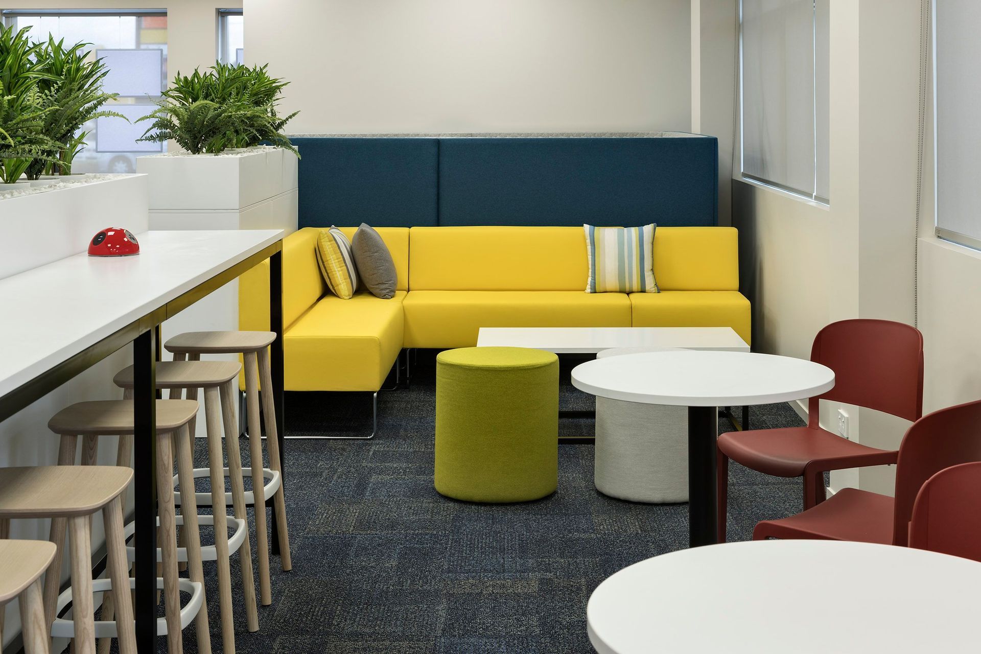 Barfoot &amp; Thompson (Glen Innes)