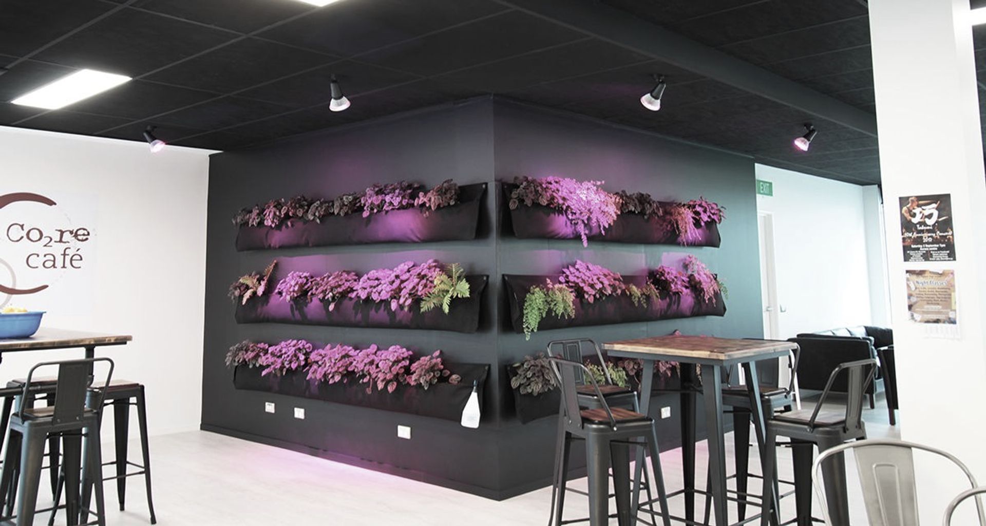 ARANZ Geo offices in Christchurch banner