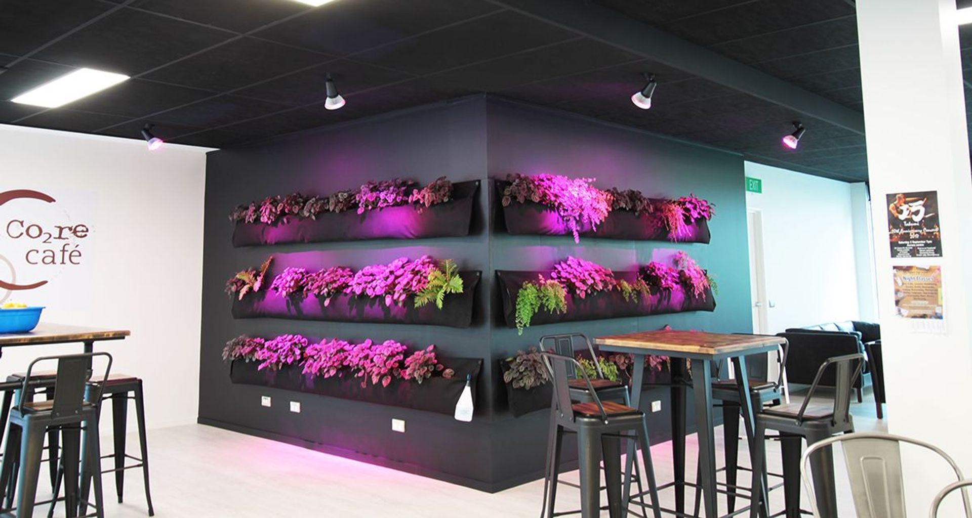 ARANZ Geo offices in Christchurch banner