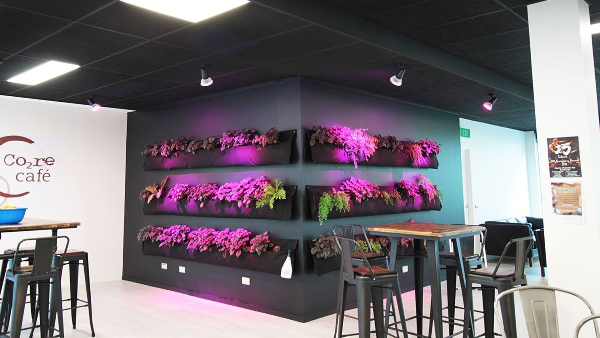 ARANZ Geo offices in Christchurch banner