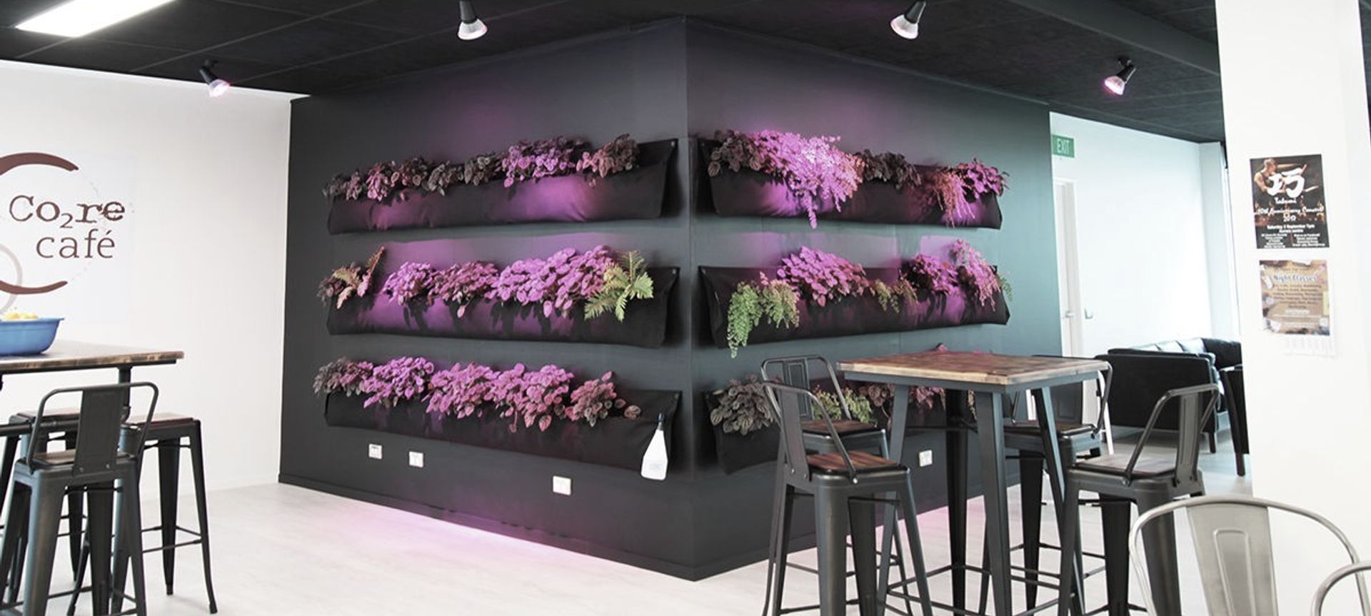 ARANZ Geo offices in Christchurch banner