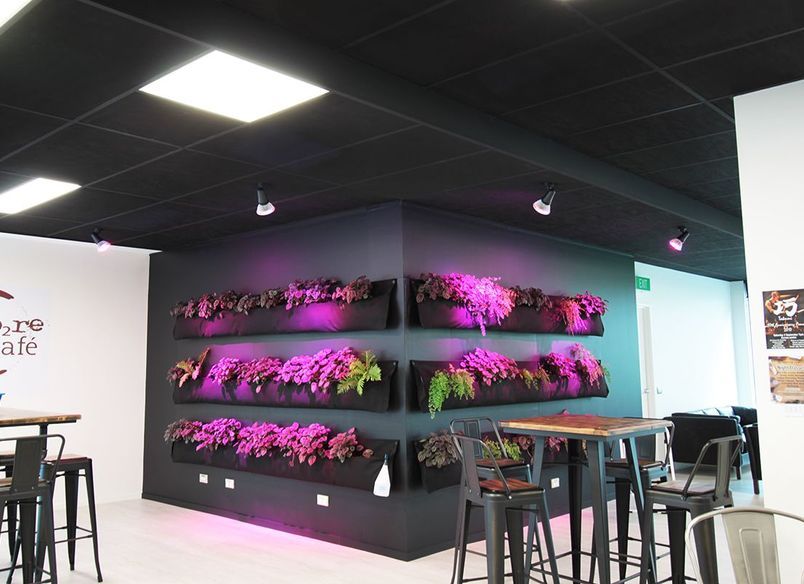 ARANZ Geo offices in Christchurch