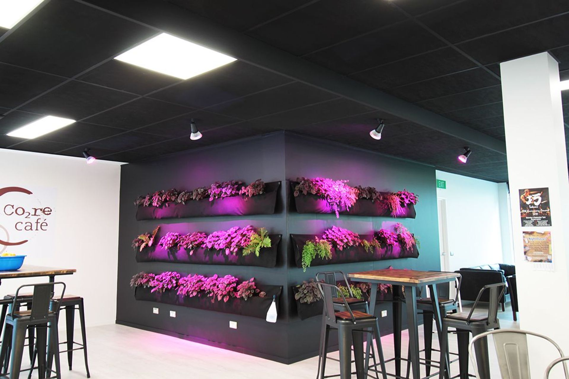 ARANZ Geo offices in Christchurch