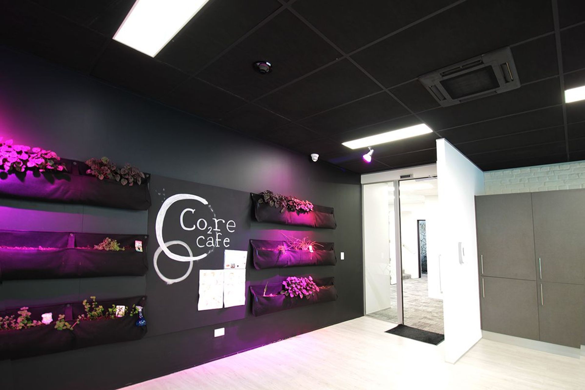 ARANZ Geo offices in Christchurch