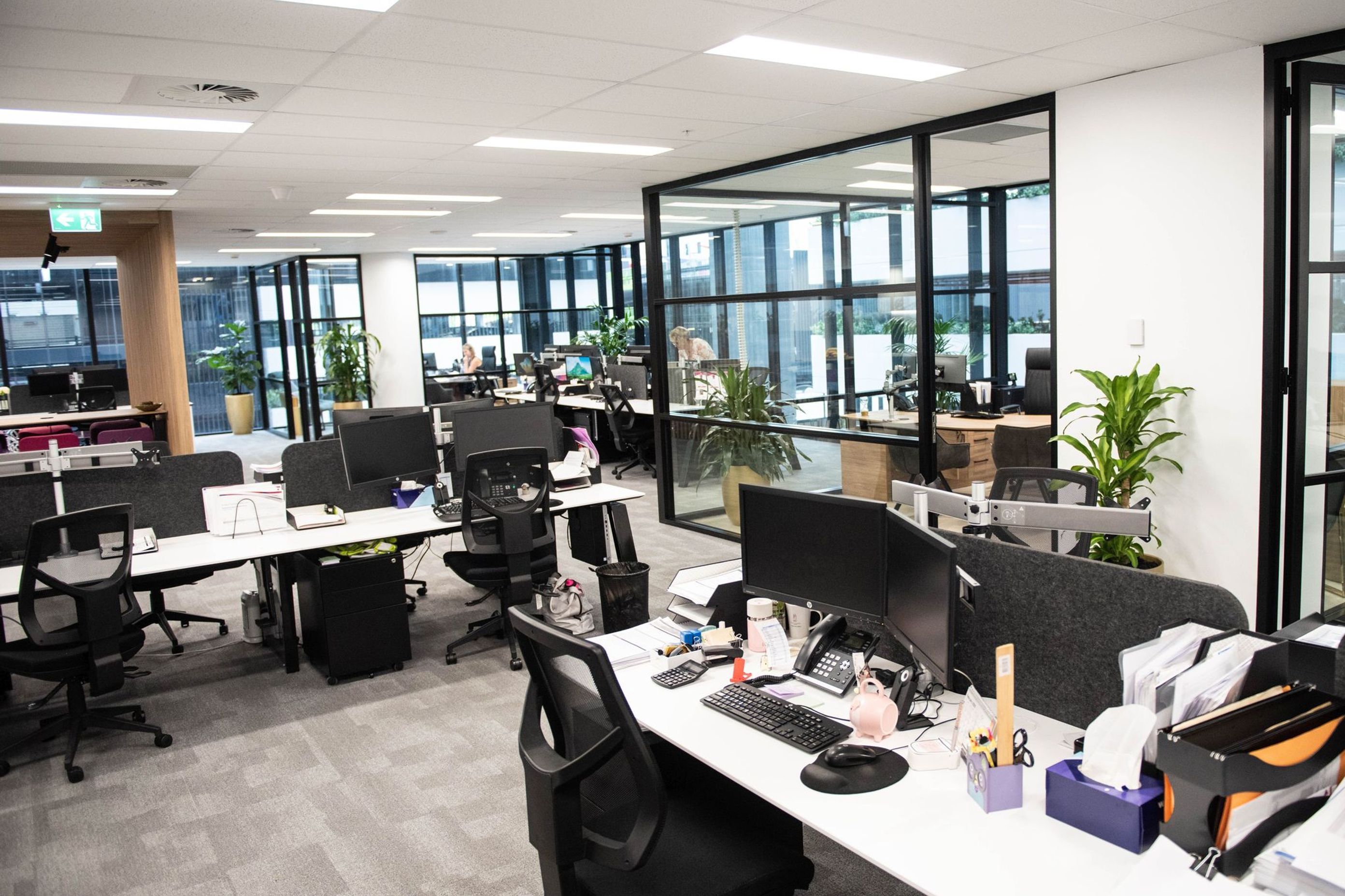 Mascot Office