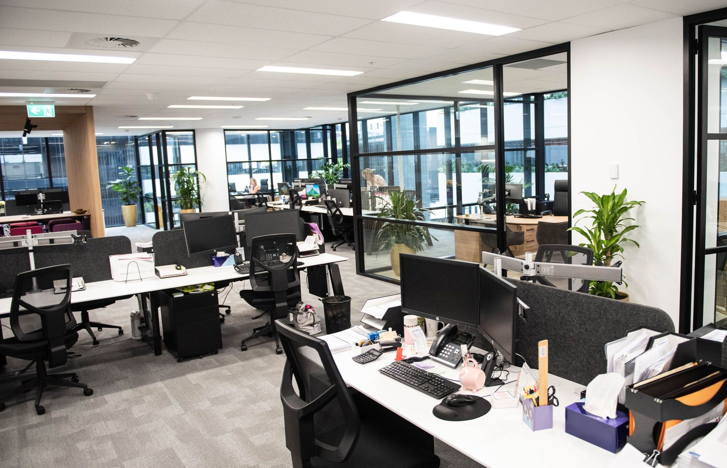 Mascot Office