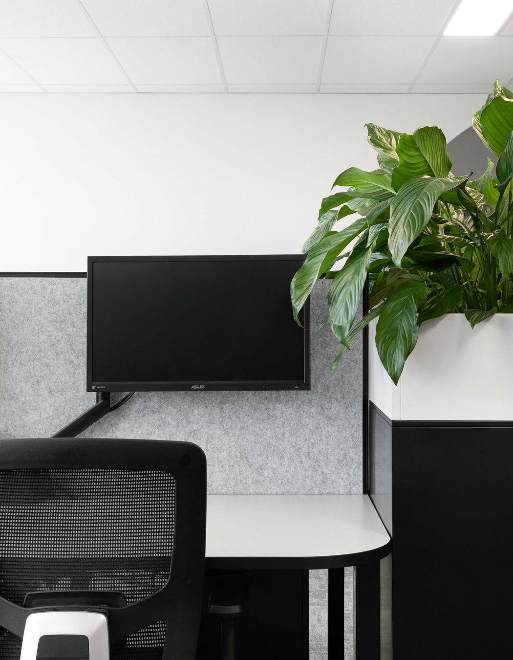 Adams Orbell McGrath Partners Private Wealth