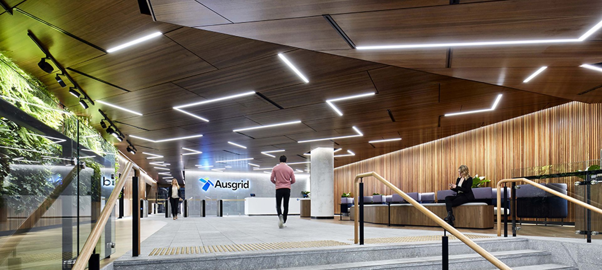 Ausgrid banner