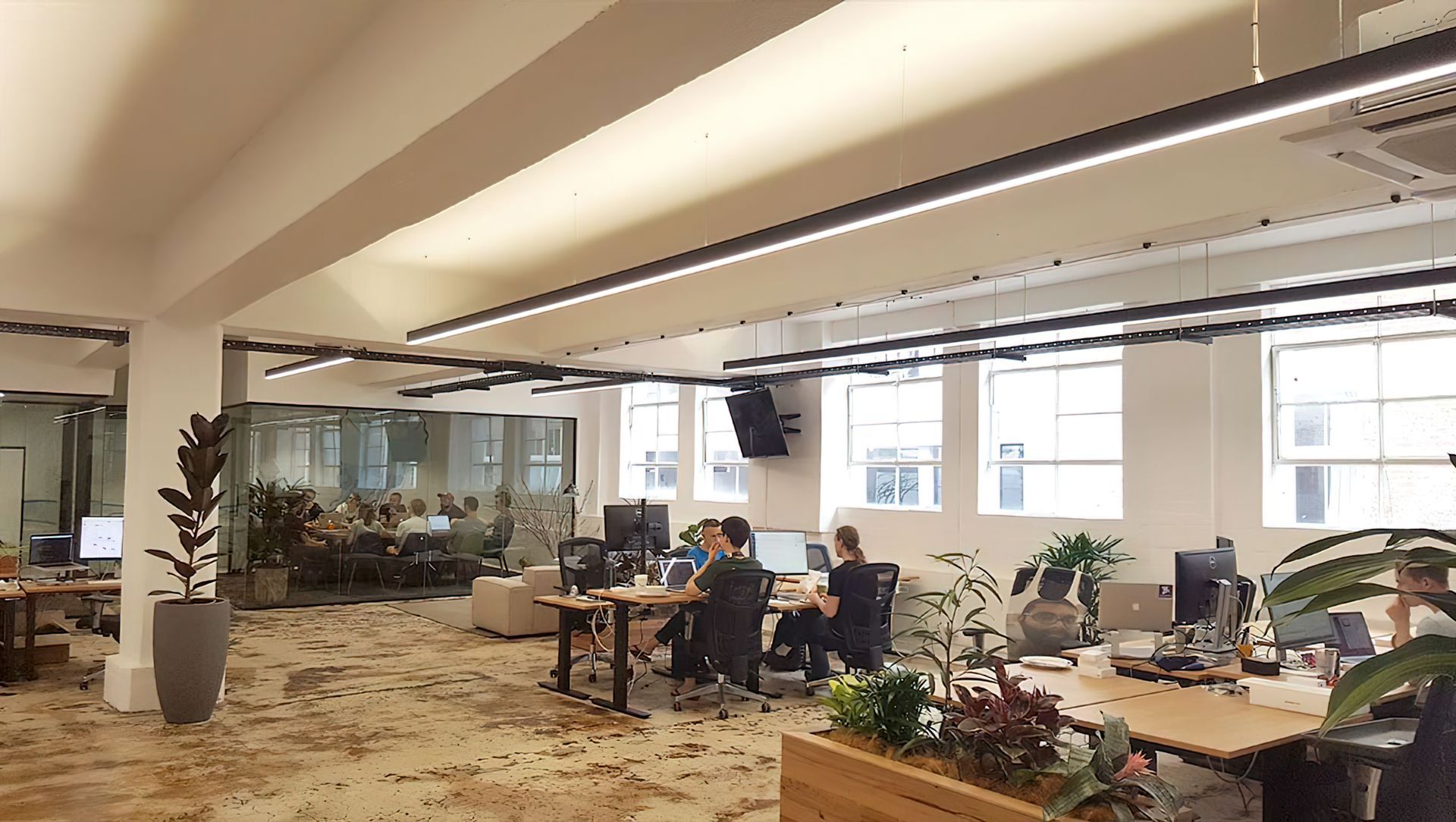 Canva Office banner