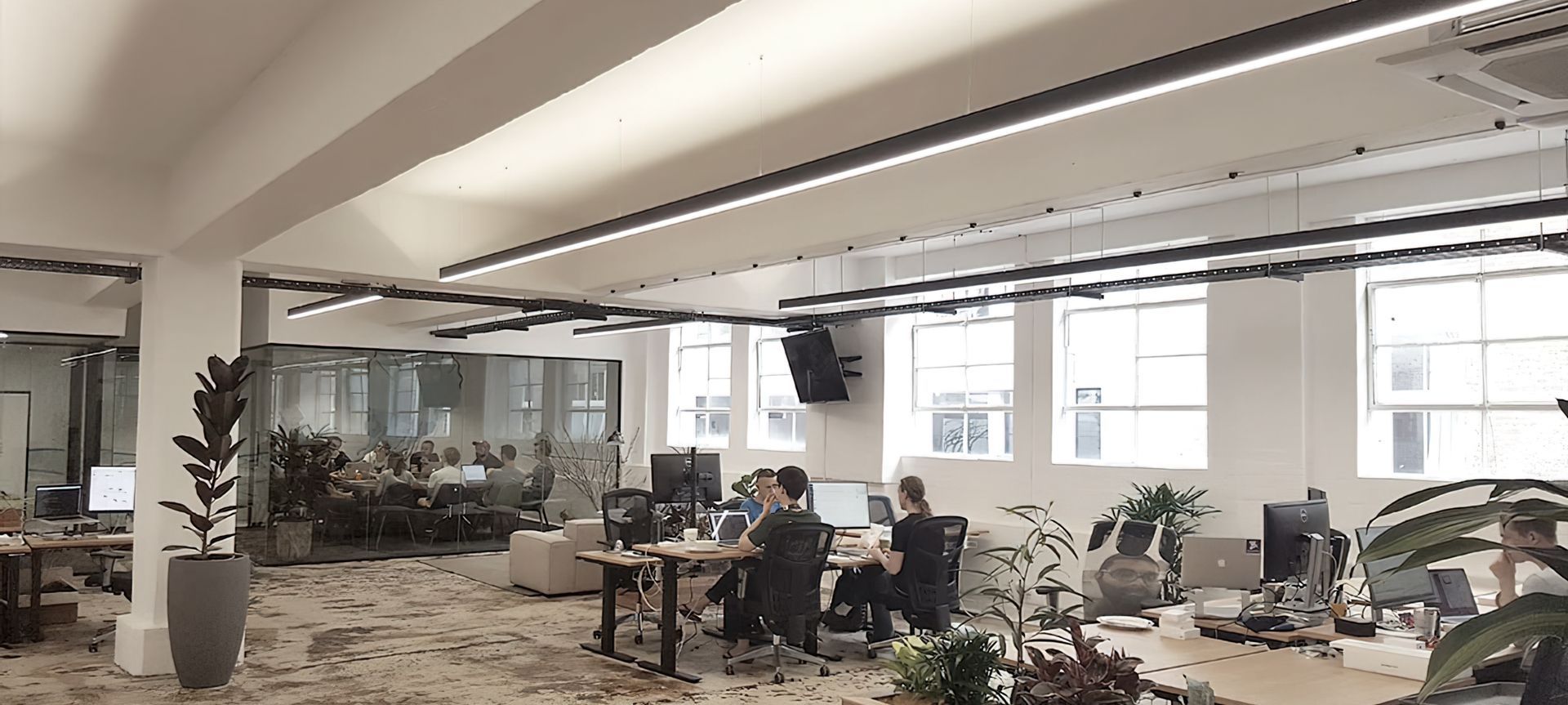 Canva Office banner
