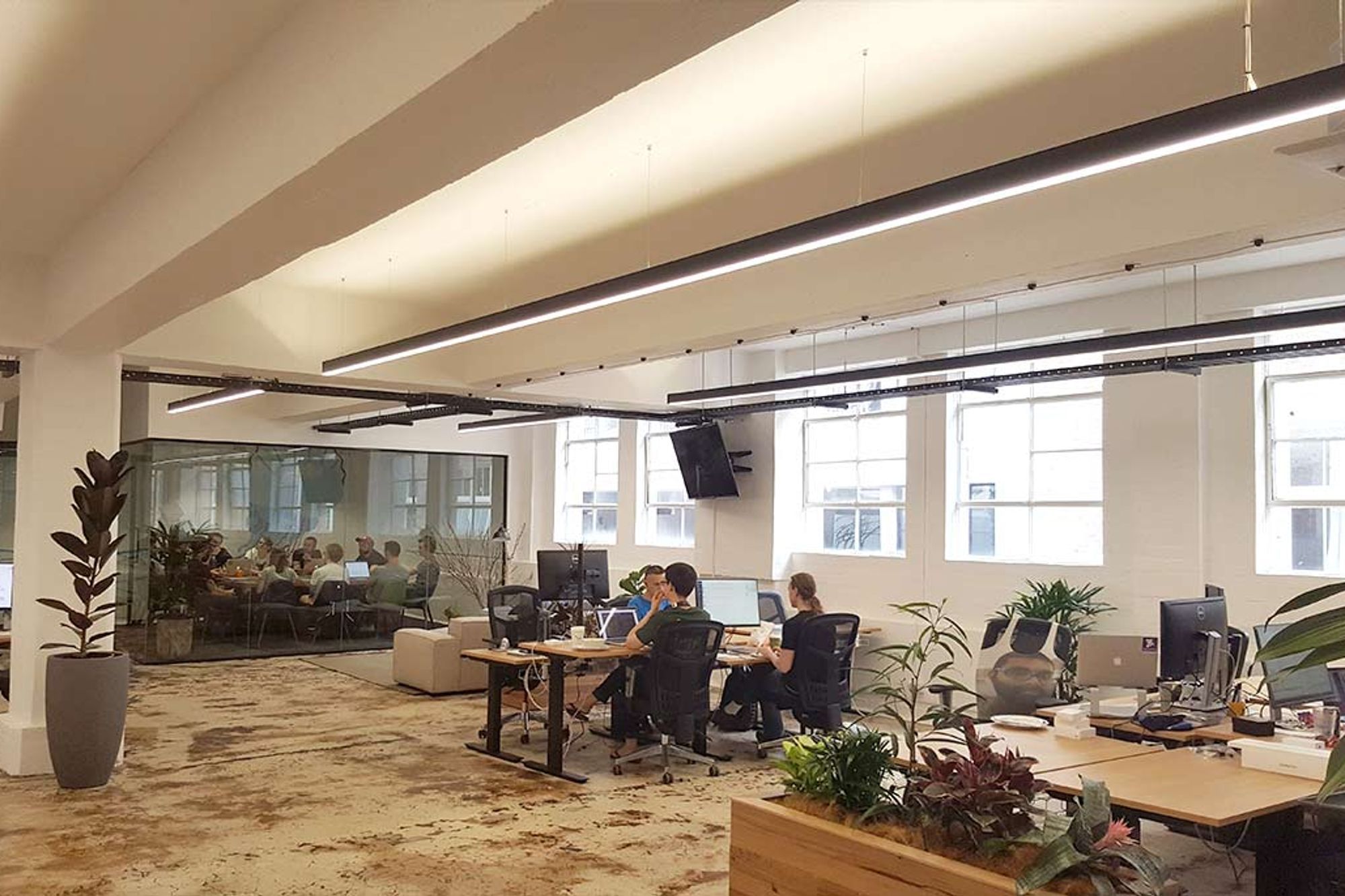 Canva Office