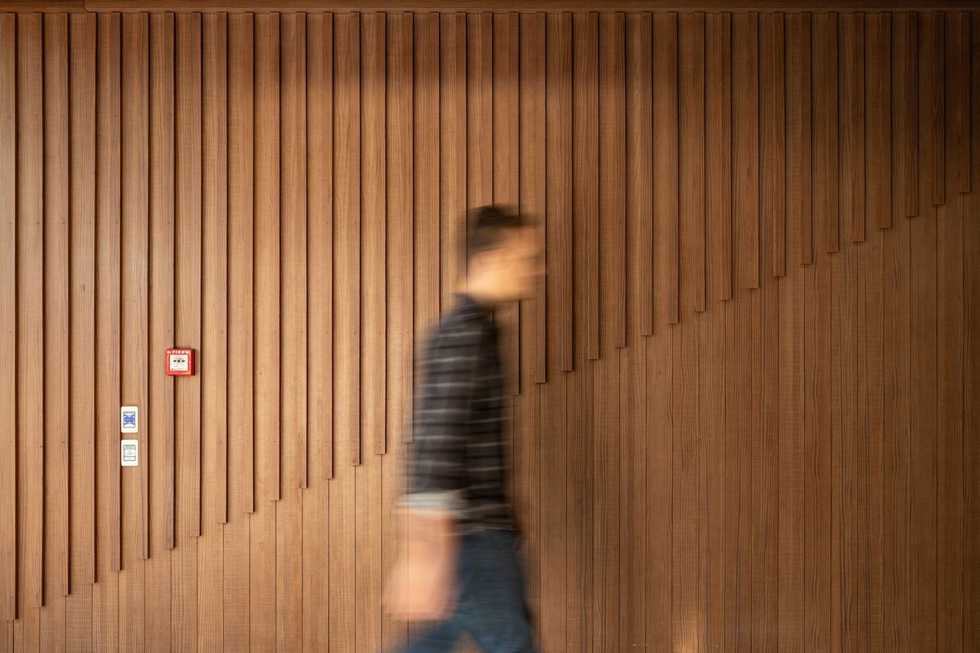 Bay of Plenty Regional Council fitout