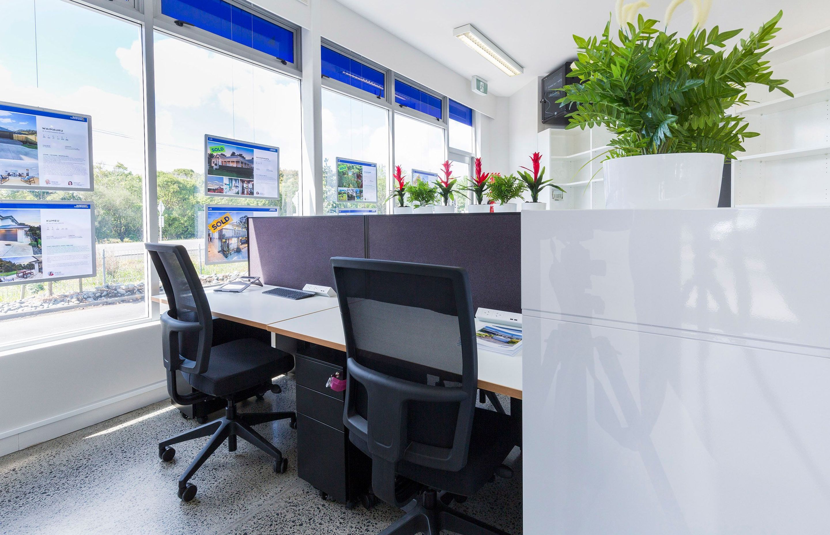 Barfoot & Thompson - Office Fit-Out