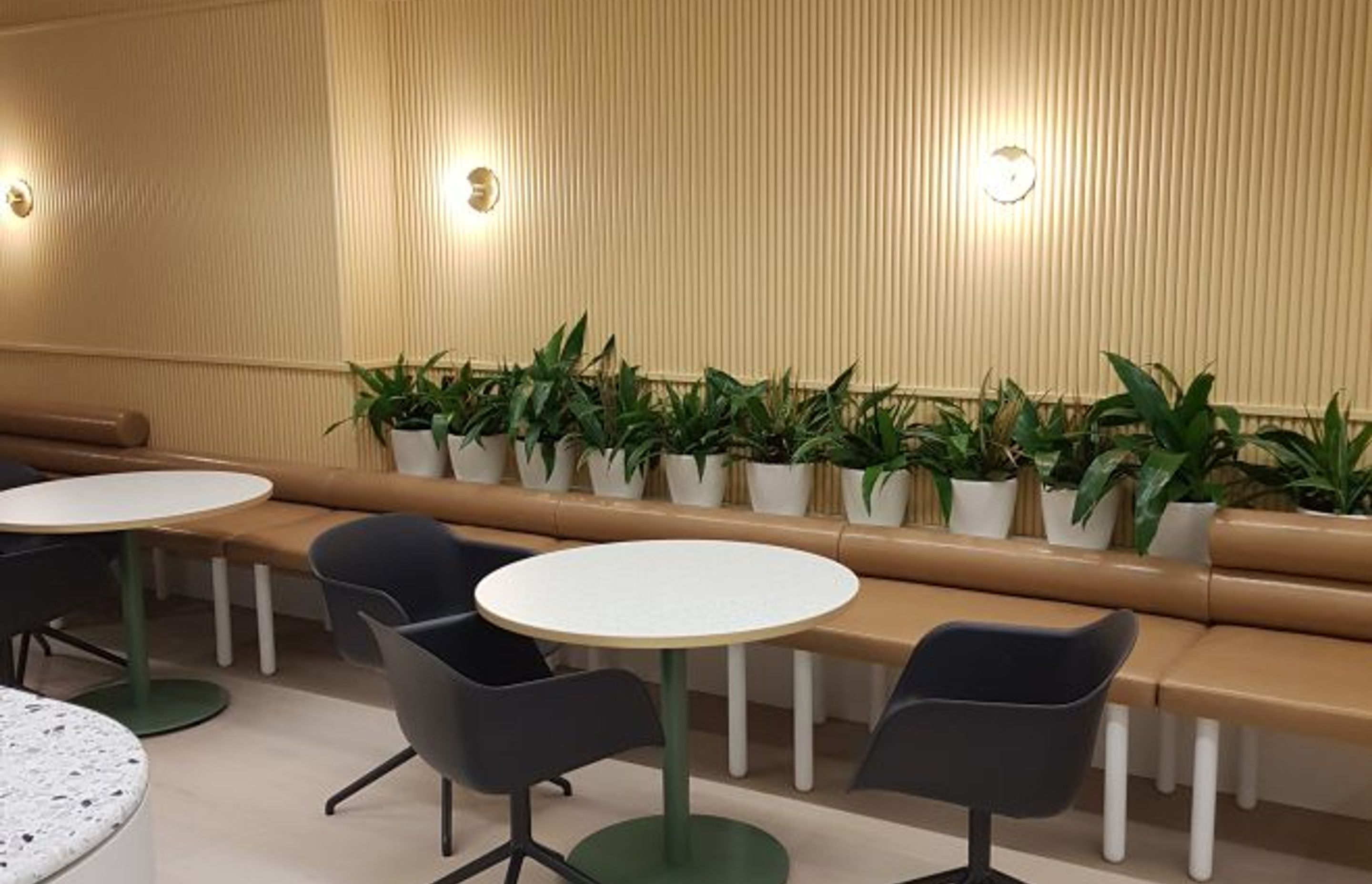 Medibank
