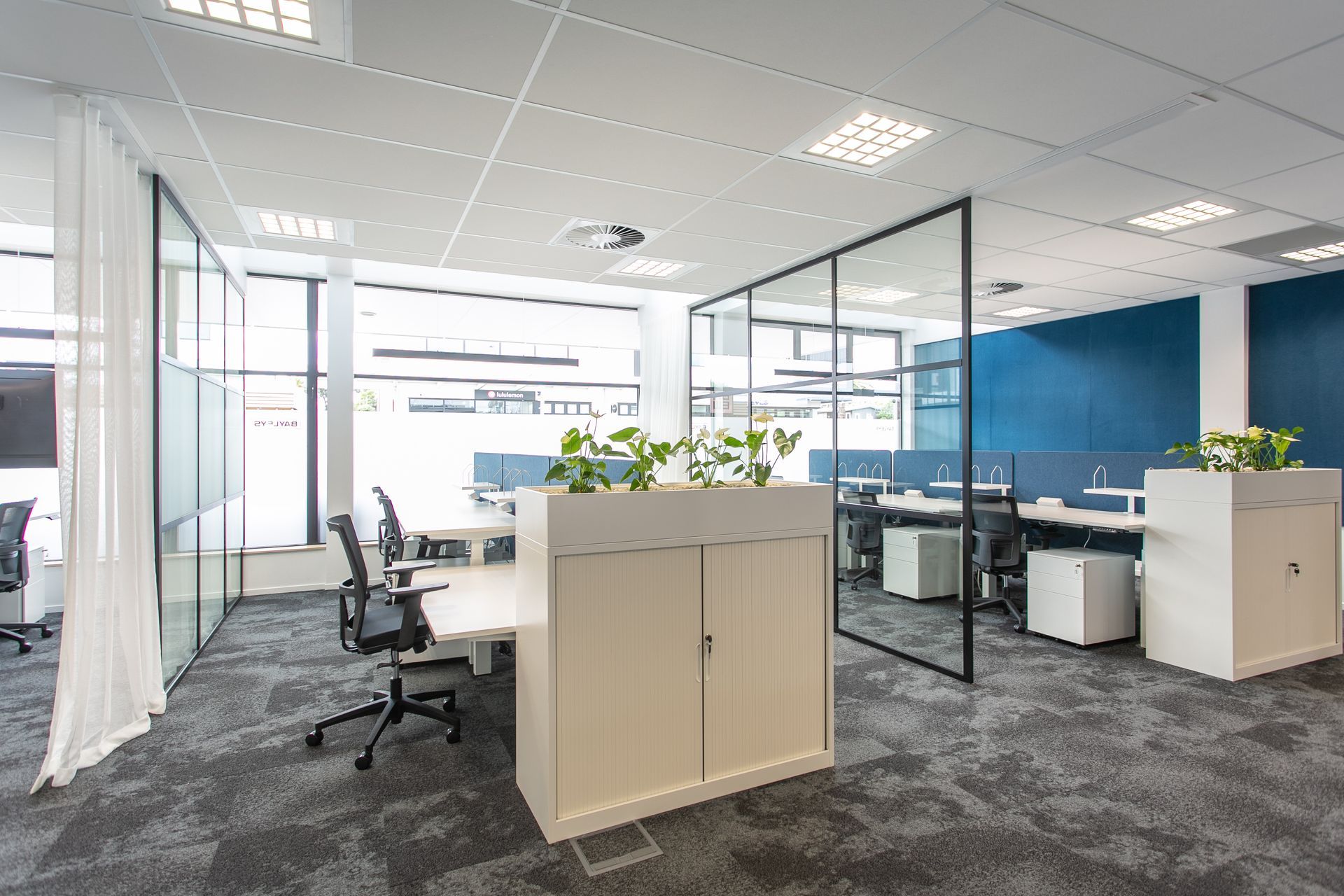 Bayleys | Mount Maunganui