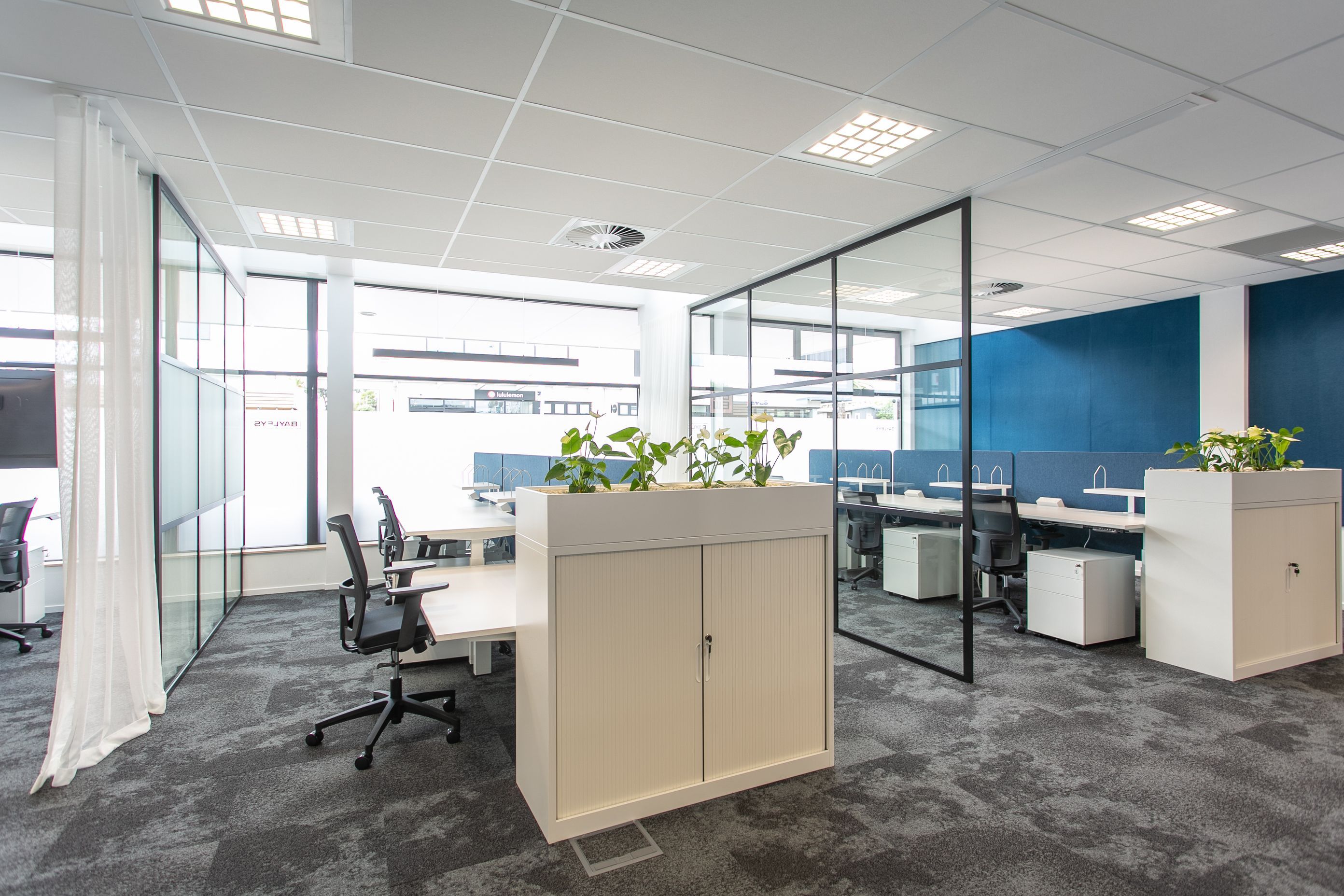 Bayleys | Mount Maunganui