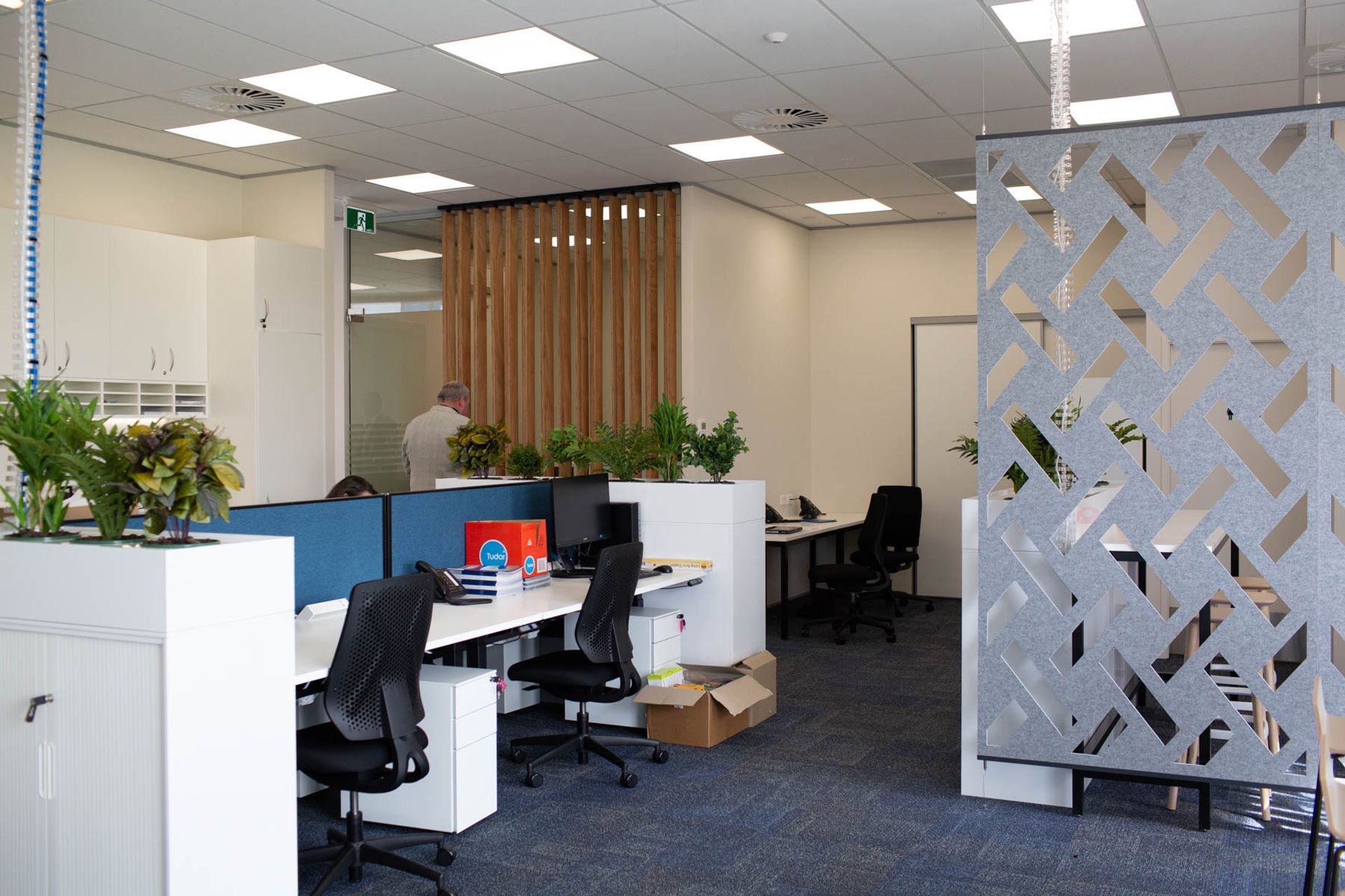 Barfoot &amp; Thompson (Long Bay)