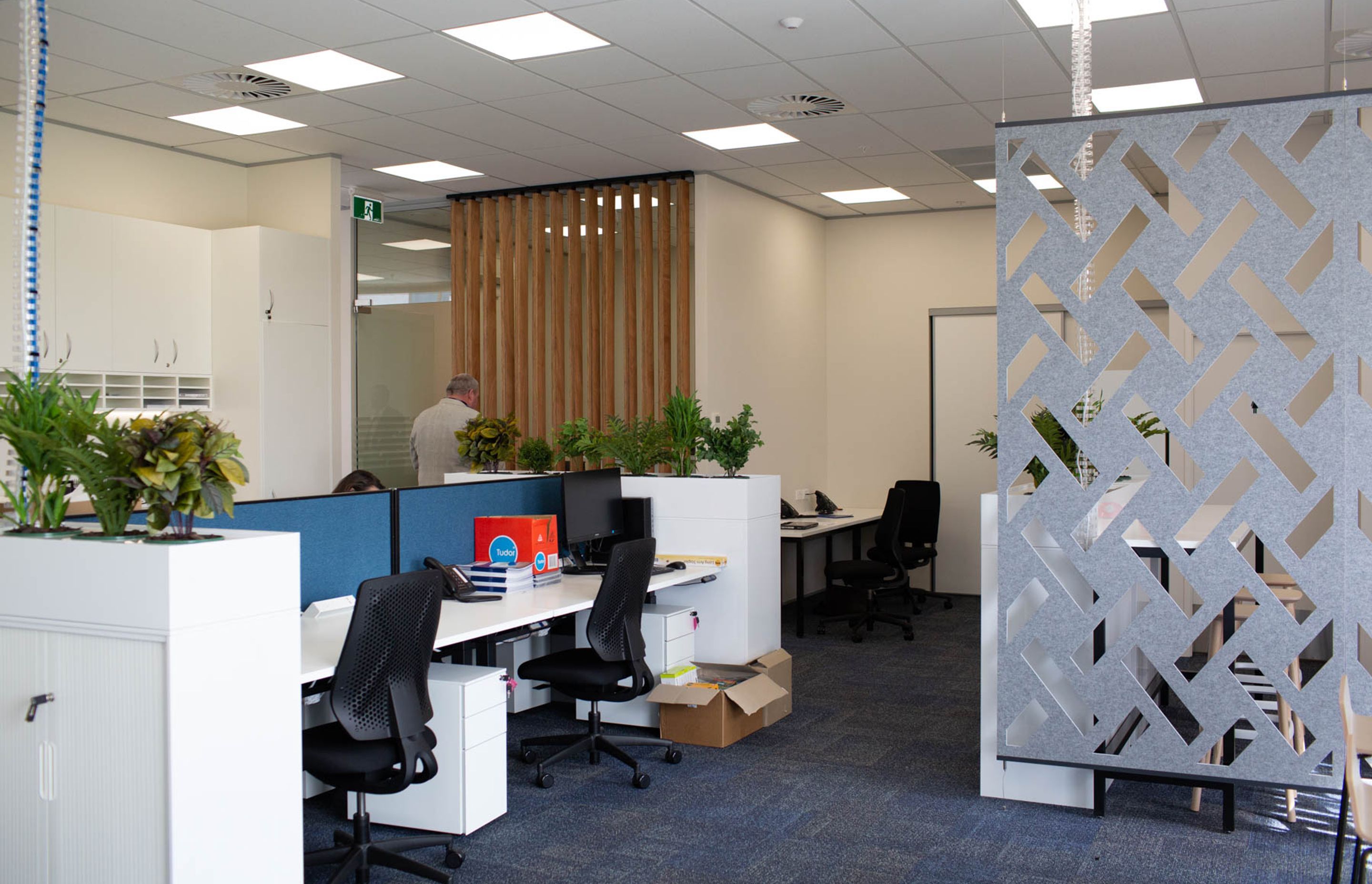 Barfoot &amp; Thompson (Long Bay)