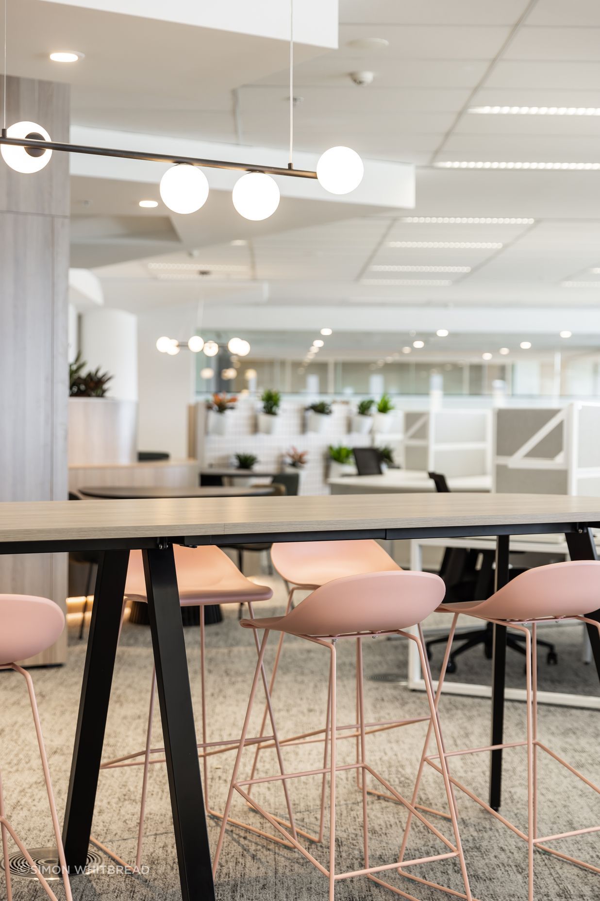 Centuria | Central Ave, Eveleigh