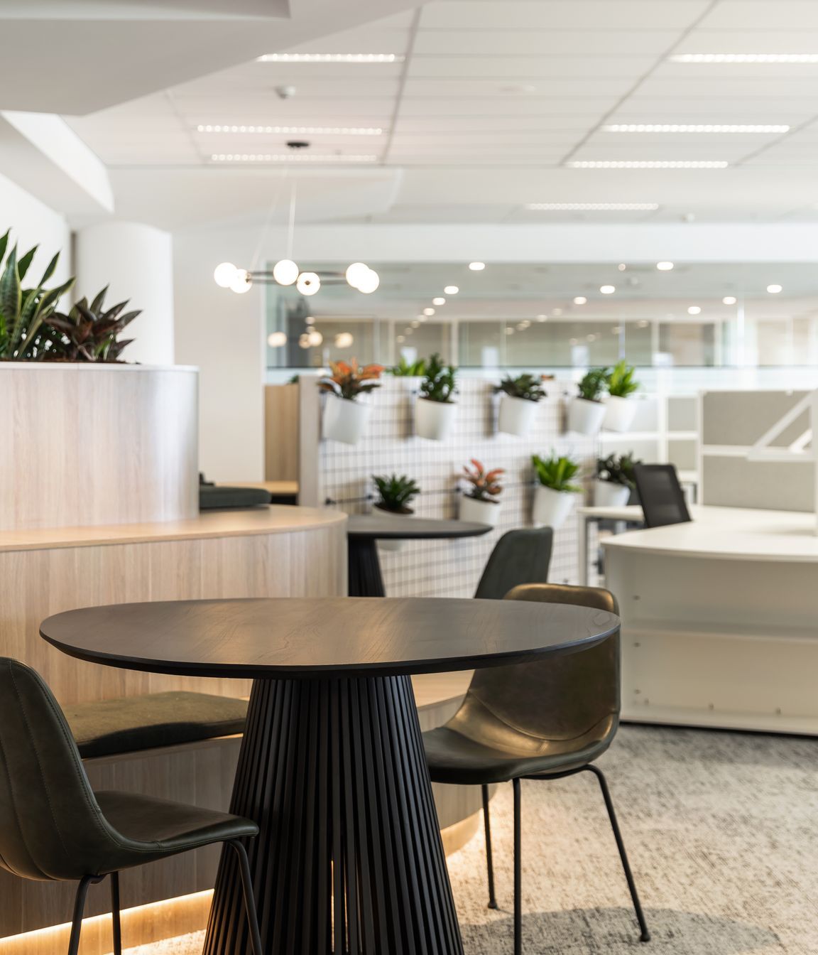 Centuria | Central Ave, Eveleigh