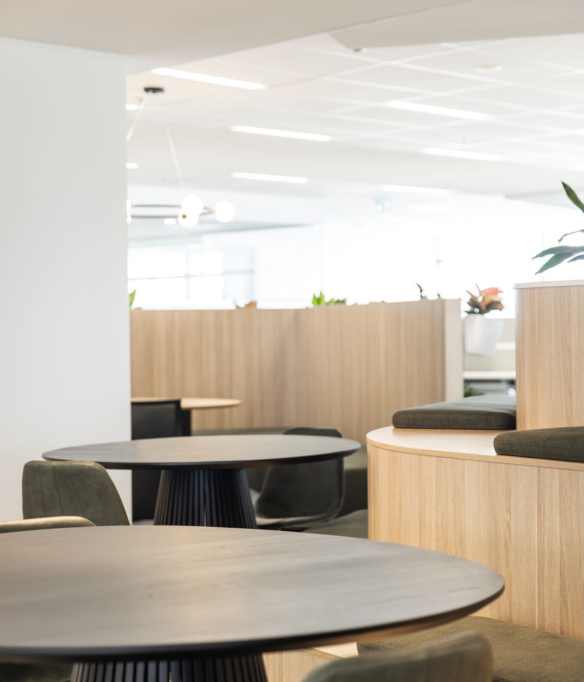 Centuria | Central Ave, Eveleigh