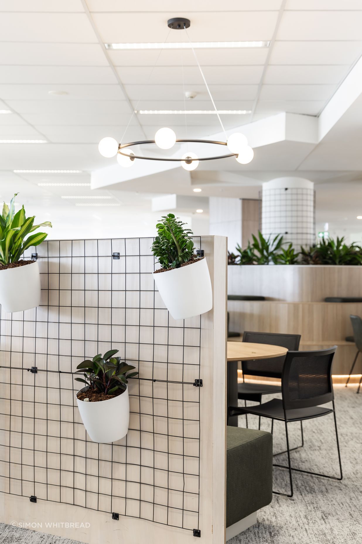 Centuria | Central Ave, Eveleigh