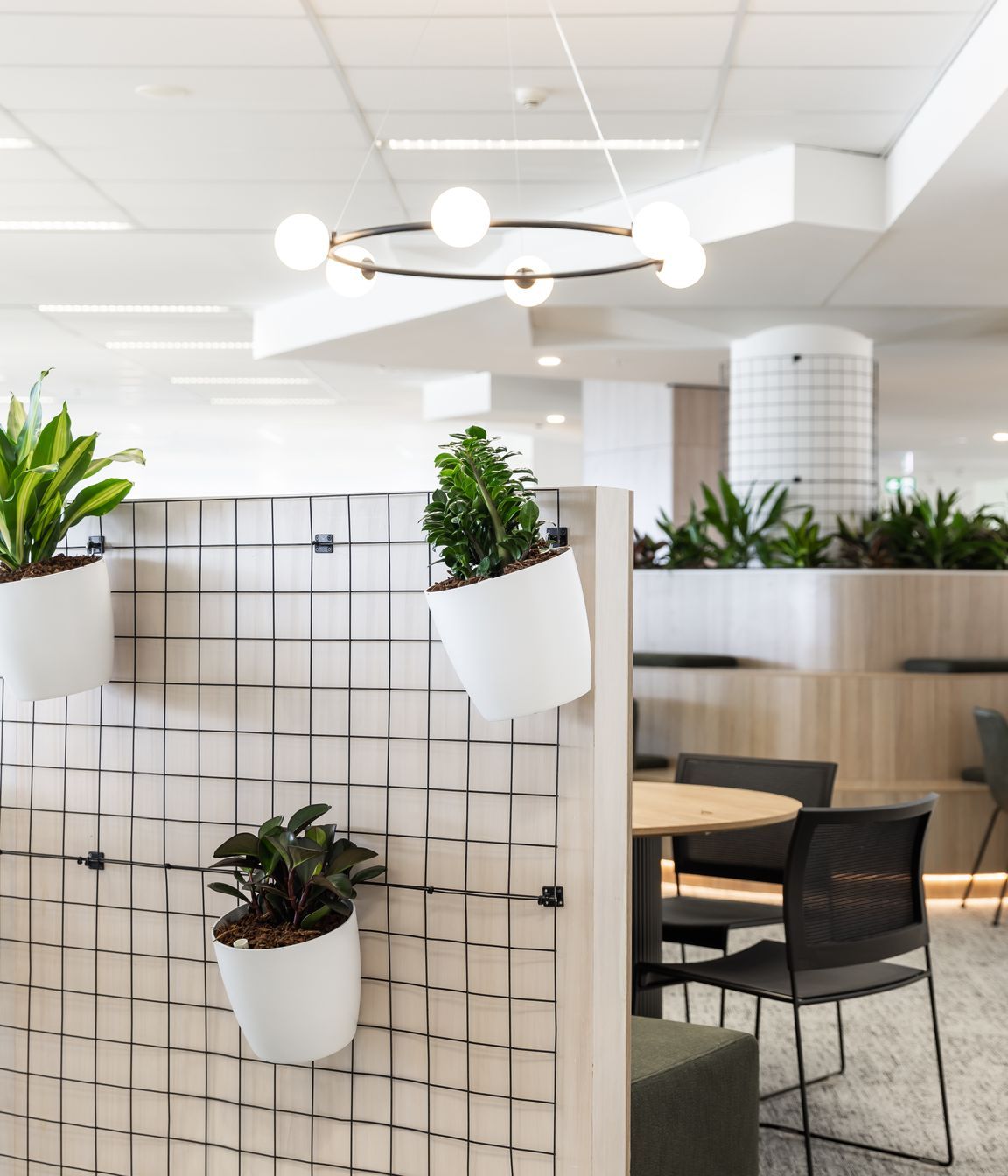 Centuria | Central Ave, Eveleigh