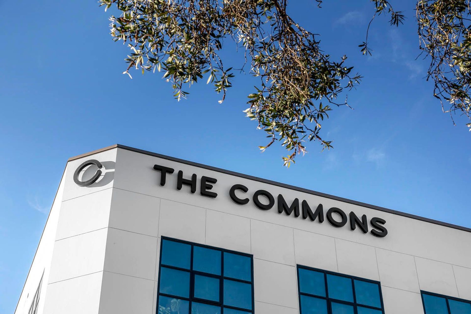 The Commons Central