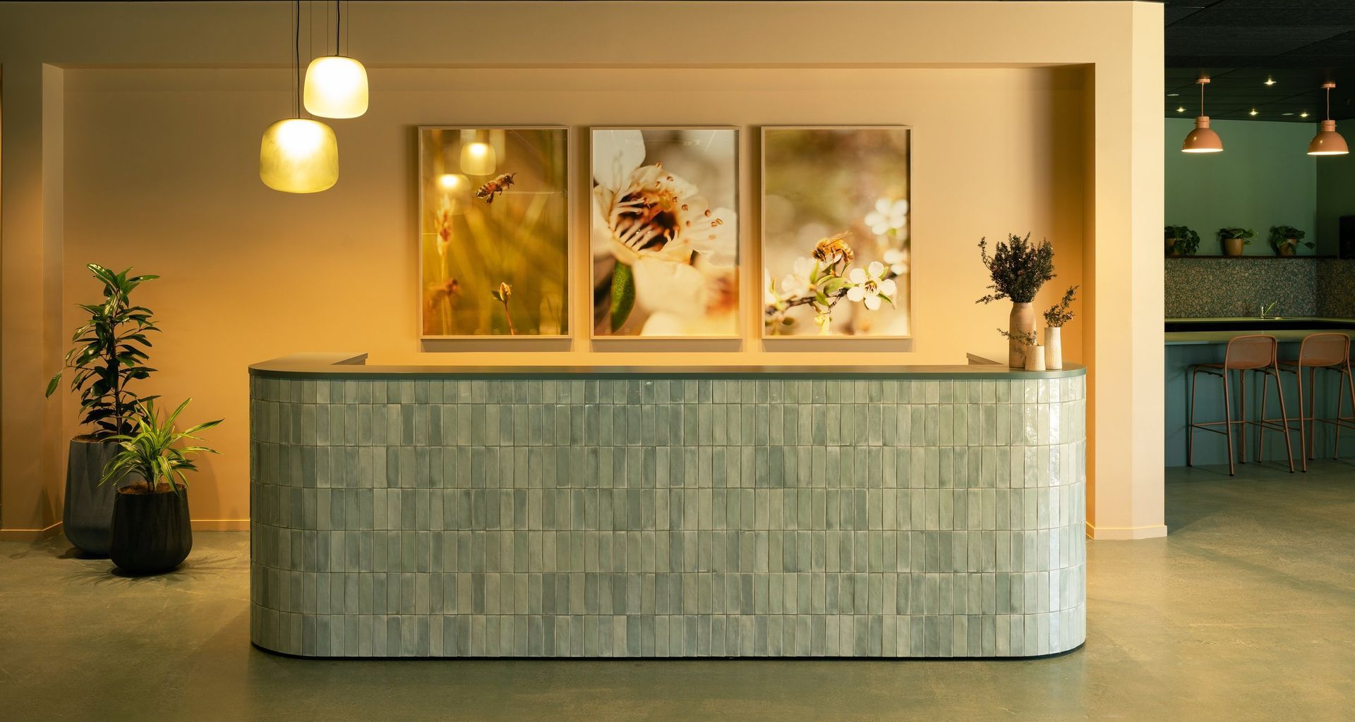 Comvita Workplace banner