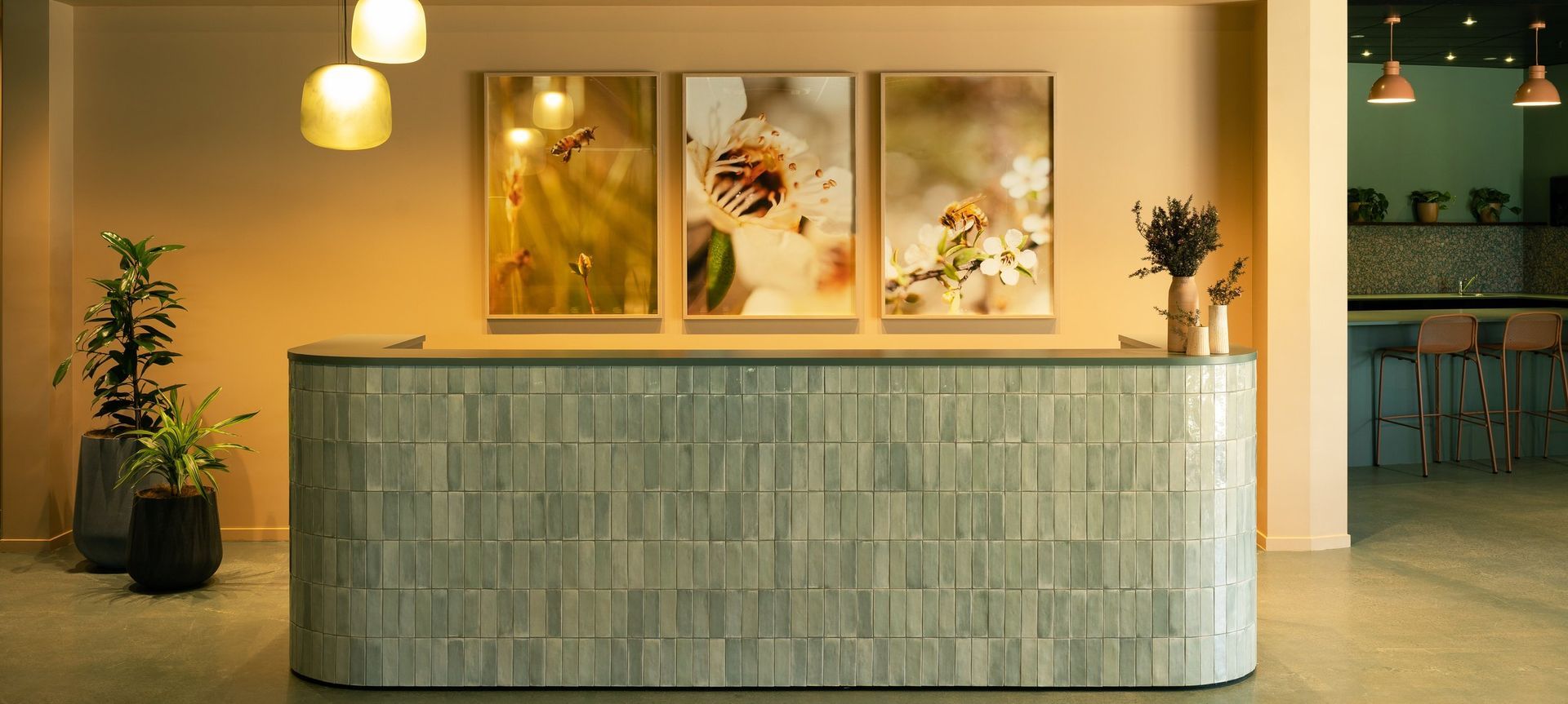 Comvita Workplace banner