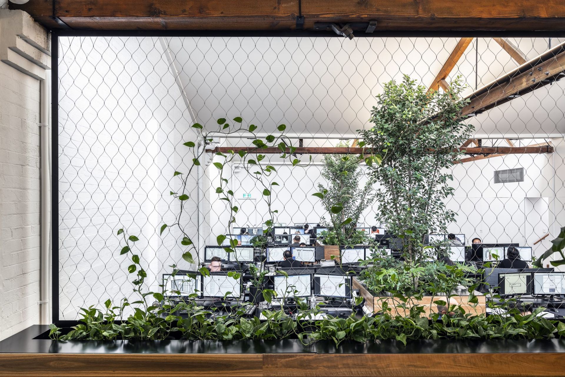 DKO Sydney Studio, Surry Hills NSW