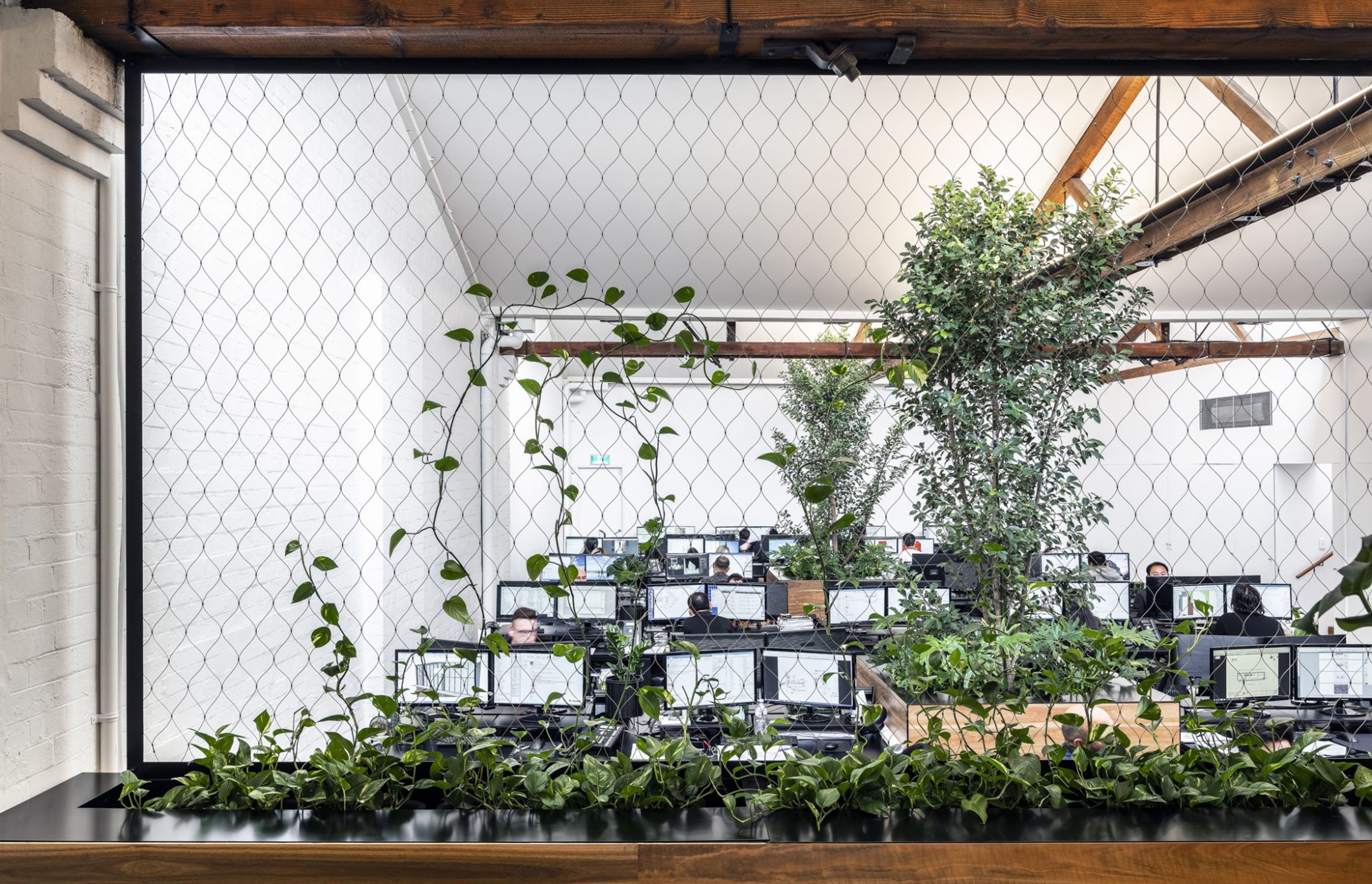 DKO Sydney Studio, Surry Hills NSW