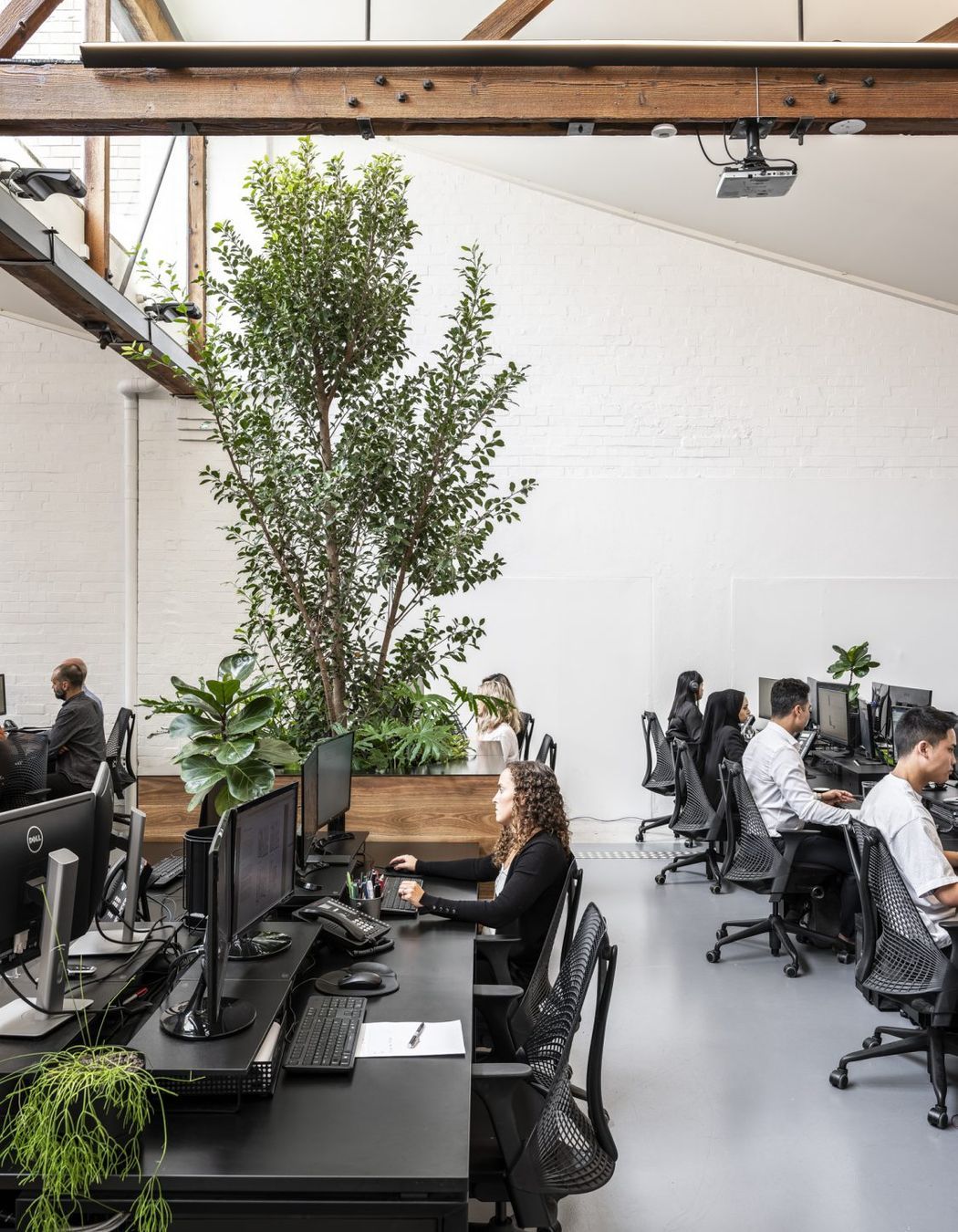 DKO Sydney Studio, Surry Hills NSW